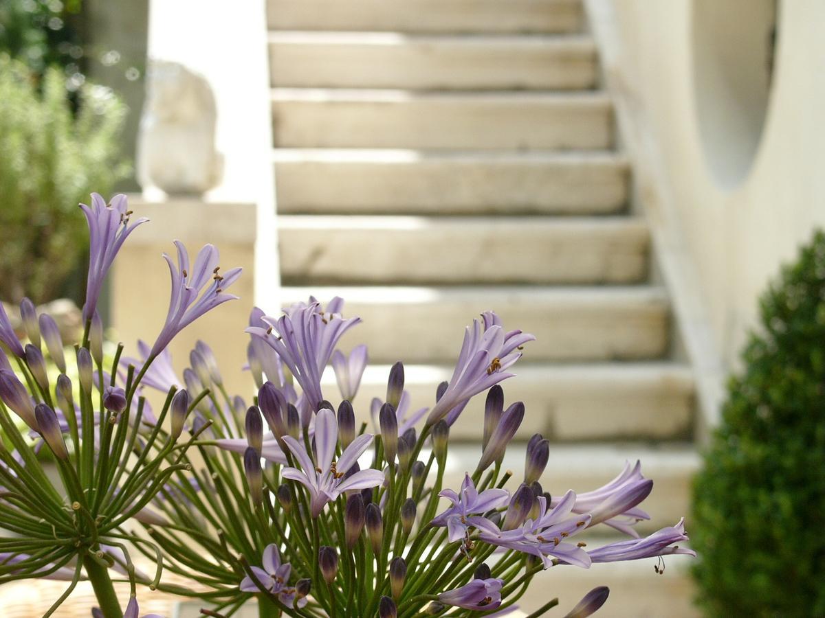 Bed and Breakfast Primaluce Venedig Exterior foto